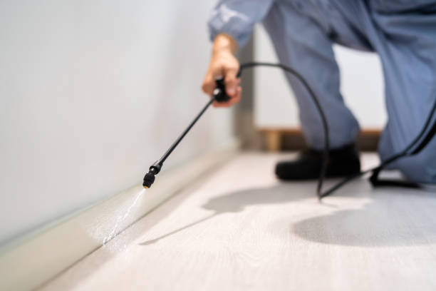 Rodent Entry Point Assessment in Randleman