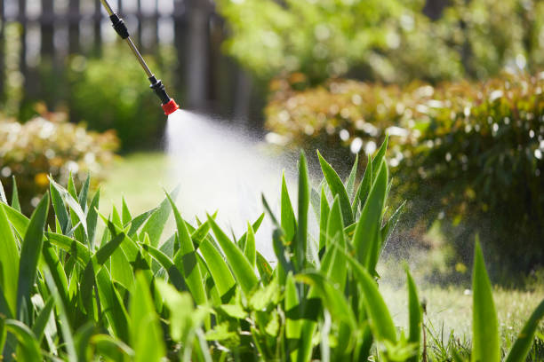 Tamper-Resistant Bait Stations for Rodents in Randleman