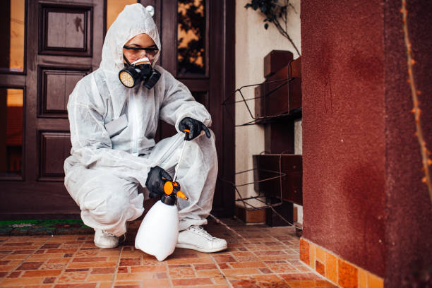 Attic and Crawl Space Rodent Treatment in Randleman