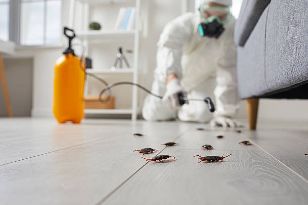 Commercial Rodent Management in Randleman